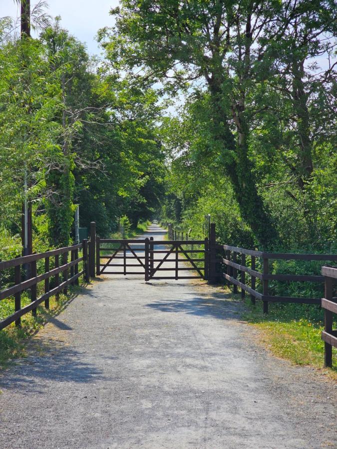 Apartmán The Koze County Leitrim Exteriér fotografie